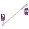 Zoo ingros Cat Collar view 1
