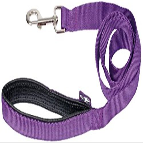 AMI CONFORT 6ANI202PR Dog Leash, with Handle, 2.5 x 120 cm