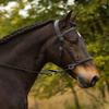 Barefoot Bitless Bridle for Horses, Bitless Bridle and Sidepull in One, Softly Padded, COB, Black view 2