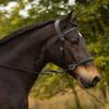 Barefoot Bitless Bridle for Horses, Bitless Bridle and Sidepull in One, Softly Padded, COB, Black view 4
