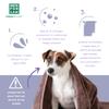 Menforsan Fruity Shampoo for Dogs with White Hair (5 L) view 4