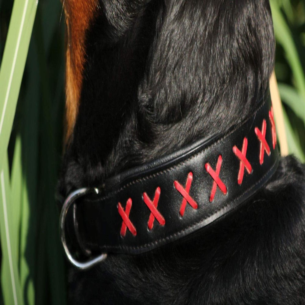 Tysons Breeches Extra-Wide Black Leather Dog Collar with Red Cross Stitching, XL 55–65 cm
