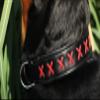 Tysons Breeches Extra-Wide Black Leather Dog Collar with Red Cross Stitching, XL 55–65 cm view 1