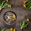 JR Grainless Herbs Guinea Pig 5 kg view 2