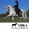 AMKA Metal-Cage Stirrups with Wide Tread, Black view 4