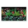 Amtra Wave A8011578 Flora Aquarium Photo Background, Double-Sided, 30 x 60 cm view 4