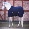 Kerbl RugBe Indoor Horse Blanket, 125 cm, Blue, 325416 view 2
