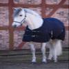Kerbl RugBe Indoor Horse Blanket, 125 cm, Blue, 325416 view 3