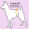 Glenndarcy Female Dog Diapers - Waterproof Fabric (Small Pants with 2 Washable Pads, Black) view 4