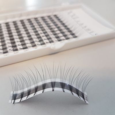 5D Premade Lash Fans, 120 Pieces, Ultra-Lightweight, Knot-Free, C-Curl, 0.15 mm, 13 mm