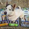bosch HPC Light | Dry Dog Food for Overweight Dogs | 2.5 kg view 2