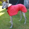 Cosipet Whippet Anorak Dog Coat, Nylon, 51 cm, Red view 2