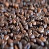 Whole Bean Flavored Coffee, Freshly Roasted by Us (Amaretto, 200 g) view 4