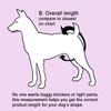 Glenndarcy Female Dog Diapers - Waterproof Fabric, Pink Black Dots, XL Pants Only view 4