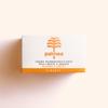 PaLMEA Cream for Normal and Combination Skin, 50 ml view 2