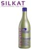 BES SILKAT PHC Day by Day Shampoo D4 RISTRUTT, 1000 ml view 1
