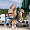 Dingo Extra Energy Dog Leash view 2