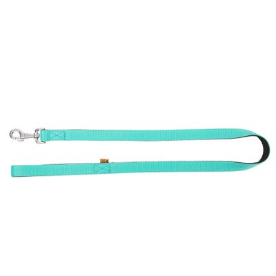 Dingo Dog Leash Energy
