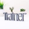 KLEINLAUT 3D “Trainer” Lettering, 25 x 8.1 cm, Pink view 2