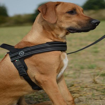 Tre Ponti Primo Plus Harness Black 80-100 cm for approx. 30-40 kg