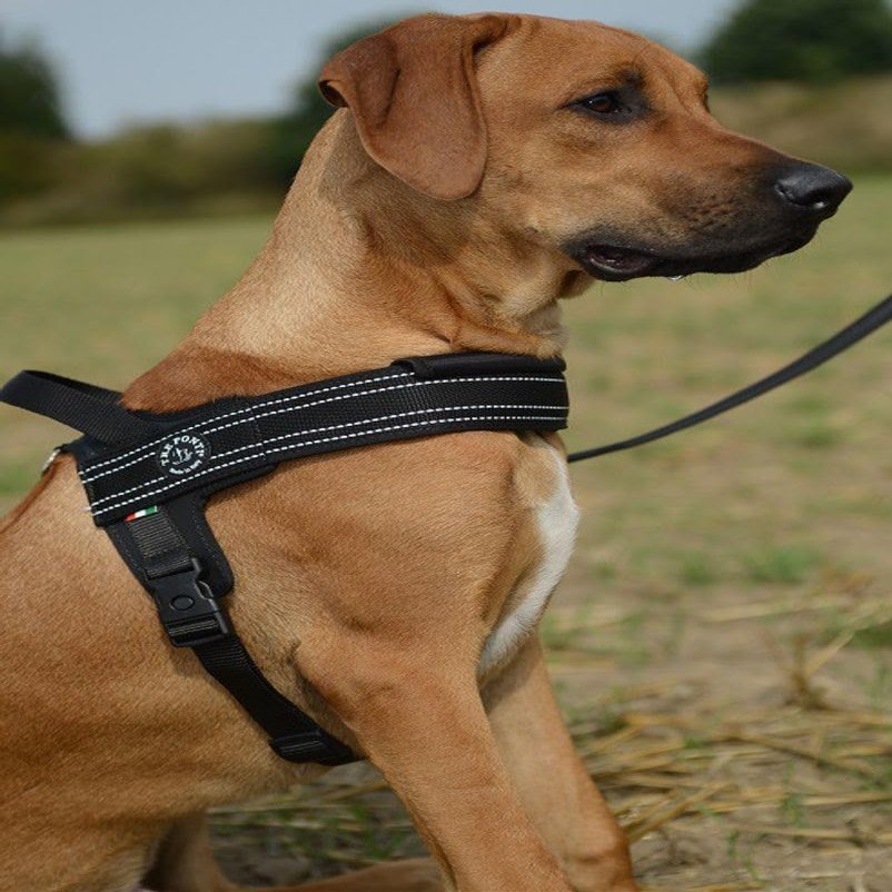 Tre Ponti Primo Plus Harness Black 80-100 cm for approx. 30-40 kg