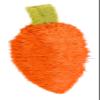 Kerbl Pet Luffa Carrot for Small Animals, 10cm view 1