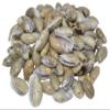 U.S. Olive Mussel Shells view 2