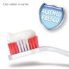 beaphar Puppy Dental Kit Toothpaste & Brush, 50 g view 2