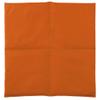 Currant Seed Pillow 40 x 40 cm, 4-Chamber, Orange view 2