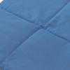 Grape Seed Pillow 40 x 40 cm, 4-Chamber, Large, Light Blue view 2