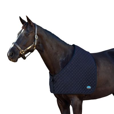 WeatherBeeta Deluxe Mini Shoulder Guard, Black