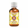 Deve Herbes Pure Black Currant Oil (Ribes nigrum), Cold-Pressed, 15 mL (0.50 fl oz) view 1