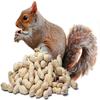 Pauls Mühle 10 kg Peanuts in Shell for Animals & Wild Birds view 3