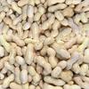 Pauls Mühle 10 kg Peanuts in Shell for Animals & Wild Birds view 4