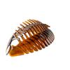 2-Pack XL Geometric Hair Comb, Havana, 15 x 7 cm – Made in Germany view 3