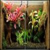 Sphagnum Moss for Terrariums (125g) view 3