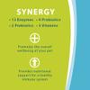 VAN BEEK Synacore Digestive Support for Dogs, by Van Beek view 4