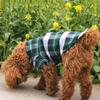 Plaid Dog Shirt by Bodhi2000 view 3