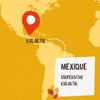 ALTER ECO Café Mexique 100% Arabica Organic Coffee, 260 g view 4