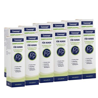 Canosept Dental Care Spray, 12 x 100 ml