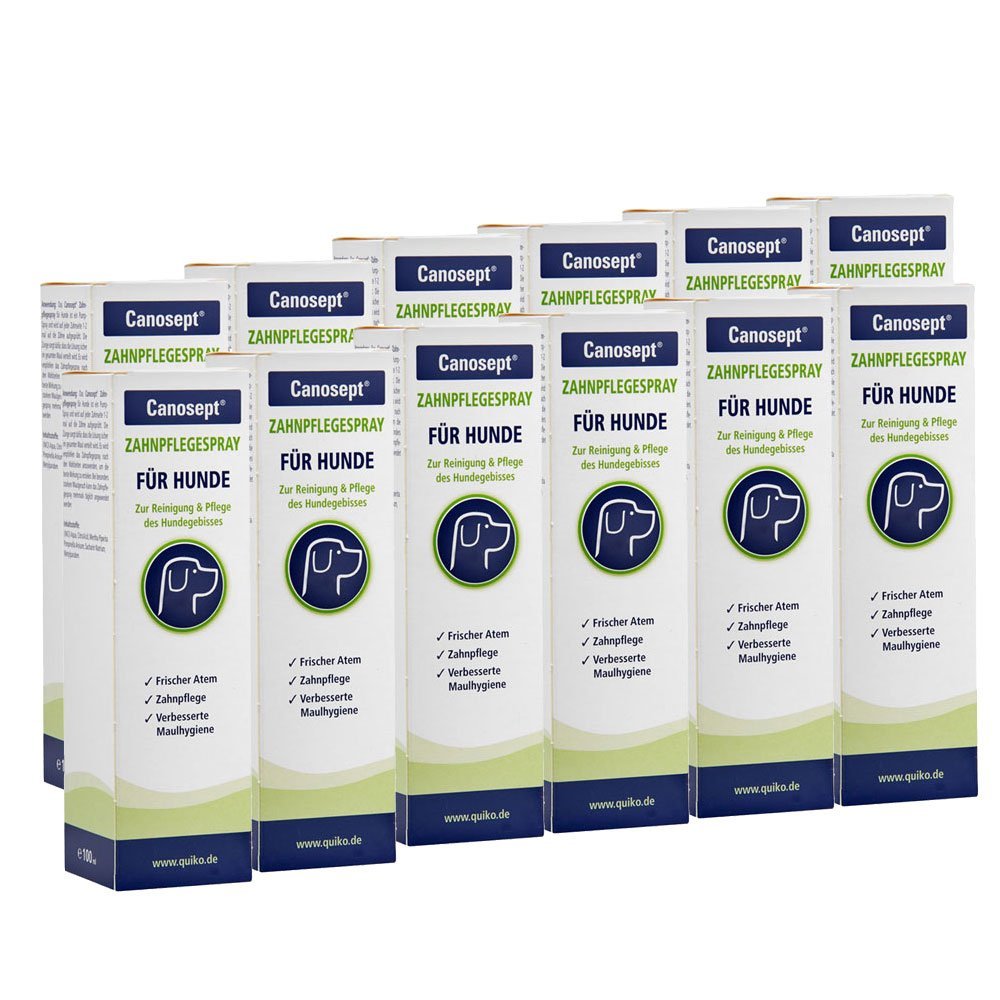 Canosept Dental Care Spray, 12 x 100 ml