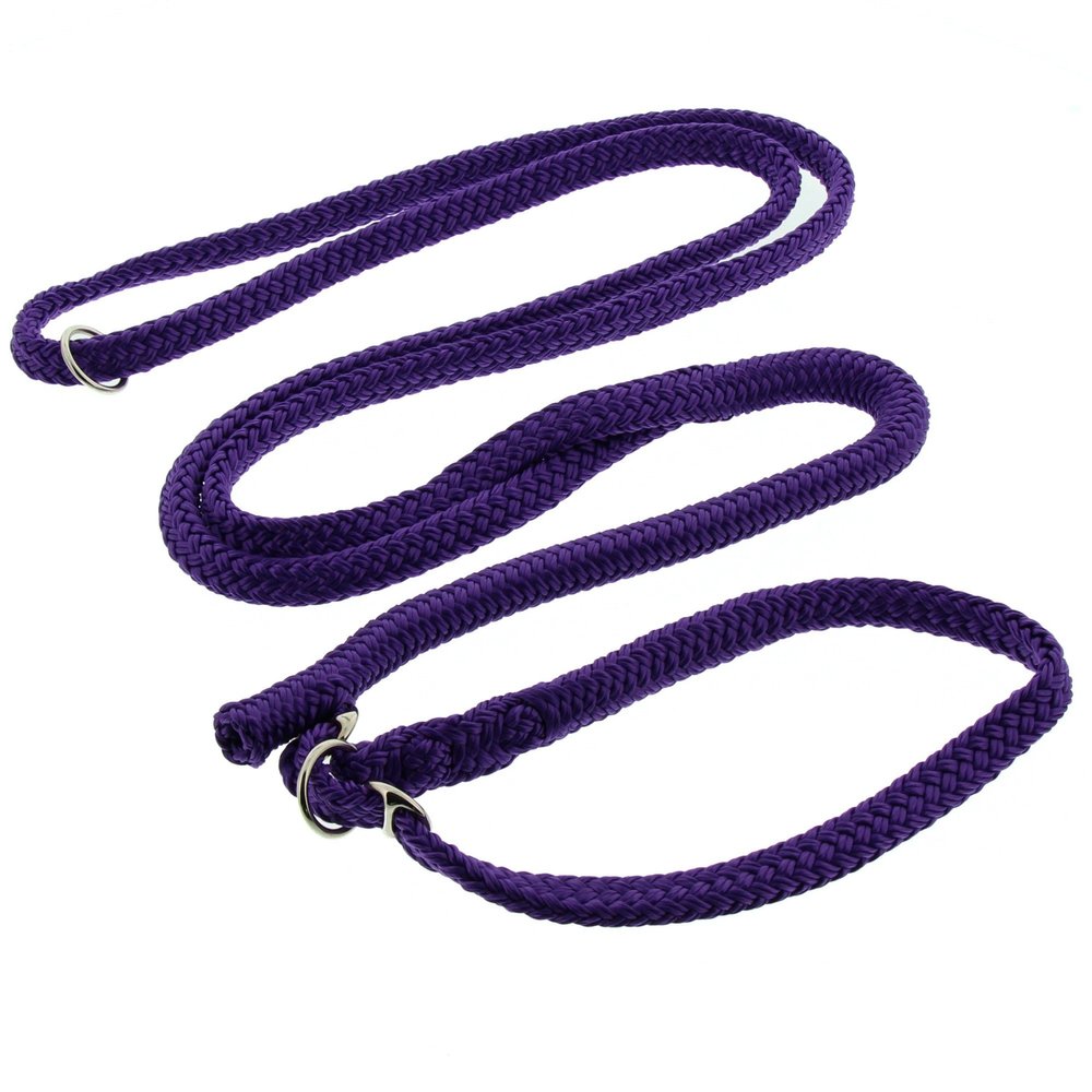 Dino Retriever Leash, Adjustable Length, Purple