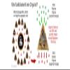 Panotophia Orpanit Orgone Towerbuster Spirit XL | Protection from EMF, 5G, HAARP and Radiofrequency Radiation | Genuine Orgone Energy view 4