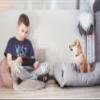 BedDog Mimi Dog Bed, Cordura Dog Sofa with Microfiber Velour, Washable Rectangular Bed with Bolster, Indoor/Outdoor, Size M, Brown-Beige with Paws view 4