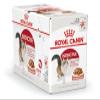 ROYAL CANIN Instinctive Jelly Wet Cat Food Pouches, 48 x 85 g view 2