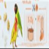 Puur Food for Agarponids, 1 Pack (1 x 750 g) view 3