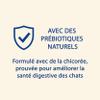PURINA CAT CHOW | Adult | Dry Cat Food | Naturium | Salmon | 10 kg | Bag view 3