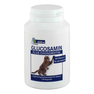 Avitale Glucosamine + Chondroitin Capsules for Cats, 120 Count