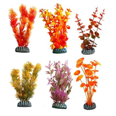 Cuba M Brown Aquarium Plant