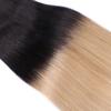 Tape-In Hair Extensions #1B/24 Ombre, 50 cm, 40 Wefts, 100% Remy Human Hair view 2